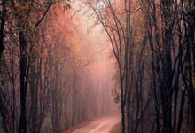 SHE 高清 MV 合集 APPSHE 高清_MV 合集