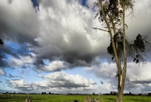 光影修图干货分享攻略 app  摄影教学_光影修图干货