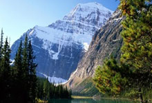 Fifa14SuperSkillMovesAPP  游戏辅助_高级技巧