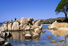 Fifa14SuperSkillMovesAPP 游戏辅助_高级技巧